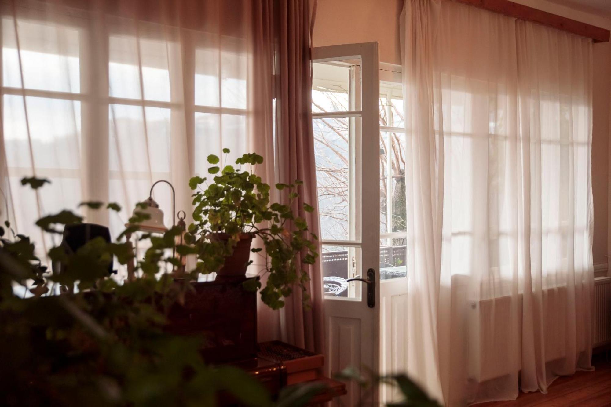 מלון Tuta House סינגאני מראה חיצוני תמונה